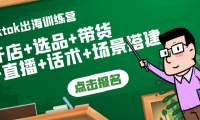 （2287）Tiktok出海训练营：开店+选品+带货+直播+话术+场景搭建！