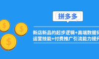 (2313)2022拼多多:新店新品的起步逻辑+高端数据化运营技能+付费推广引流能力提升