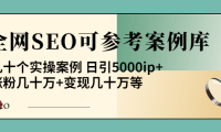 （2323）《全网SEO可参考案例库》几十个实操案例 日引5000ip+涨粉百W+变现几十W等!