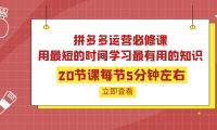 (2328)拼多多运营必修课:20节课每节5分钟左右,用最短的时间学习最有用的知识