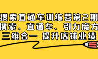 (2344)搜索直通车训练营第2期:搜索、直通车、引力魔方三维合一 提升店铺业绩!