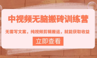 (2358)中视频无脑搬砖训练营:无需写文案,纯视频剪辑搬运,就能获取收益!