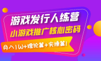 (2363)游戏发行人训练营:小游戏推广核心密码,月入1W+理论篇+实操篇!