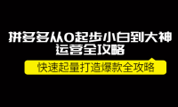 (2364)拼多多从0起步小白到大神运营全攻略,快速起量打造10W+爆款全攻略!