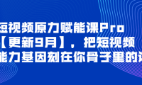 （2368）短视频原力赋能课Pro【更新9月】，把短视频能力基因刻在你骨子里的课