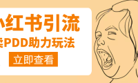 (2370)利用小红书卖拼多多助力,日赚100+,顺便还能引个流【视频课程】