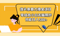 (2389)人人都能操作的微头条最新暴力撸金项目,零成本小白无脑搬运也能日入500+