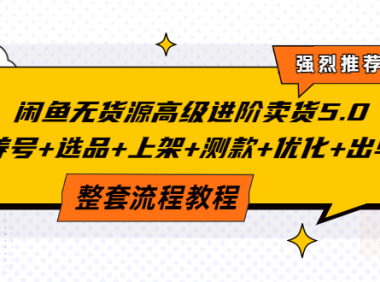 (2160)闲鱼无货源高级进阶卖货5.0,养号+选品+上架+测款+优化+出单整套流程教程
