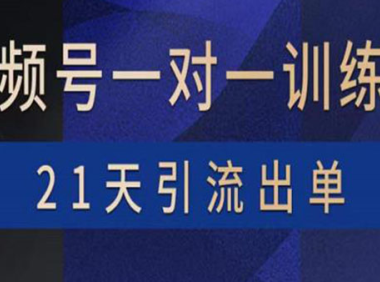 （2177）视频号训练营：带货，涨粉，直播，游戏，四大变现新方向，21天引流出单