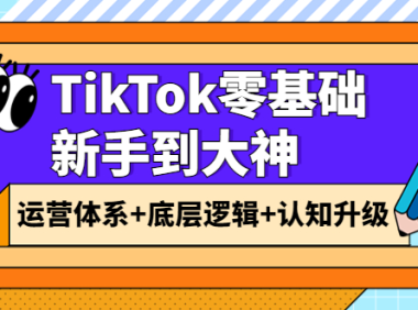 （2179）TikTok零基础新手到大神：运营体系+底层逻辑+认知升级（9节系列课）