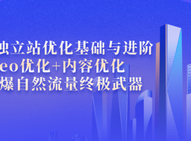 （2181）外贸独立站优化基础与进阶，seo优化+内容优化+引爆自然流量终极武器