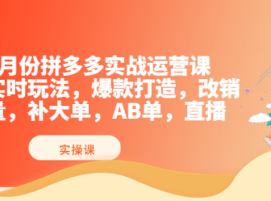 (2186)8月份拼多多实战运营课,实时玩法,爆款打造,改销量,补大单,AB单,直播