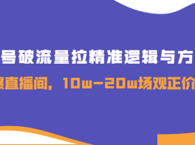 （2187）新号破流量拉精准逻辑与方法，引爆直播间，10w-20w场观正价玩法