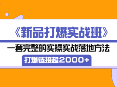 (2201)《新品打爆实战班》一套完整的实操实战落地方法,打爆链接超2000+(38节课)