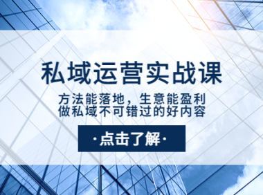 （2204）私域运营实战课：方法能落地，生意能盈利，做私域不可错过的好内容