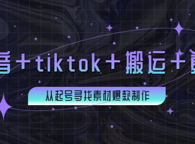 （2207）百万粉丝博主·抖音+tiktok+搬运+剪映，从起号寻找素材爆款制作！