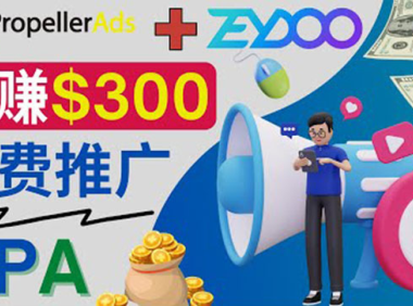 (2272)通过CPA推广平台Zeydoo日赚300美元:CPA Offer 付费推广方法!