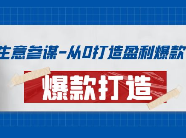 (2273)生意参谋-从0打造盈利爆款:手把手教您打造爆款多种玩法!