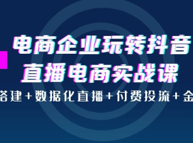 （2274）电商企业玩转抖音直播电商实战课：账号搭建+数据化直播+付费投流+金牌主播