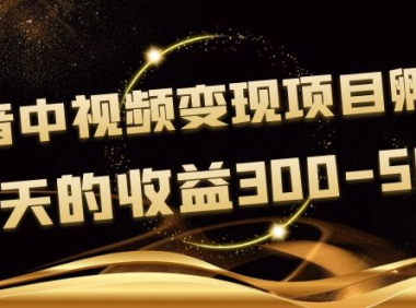 (2284)黄岛主《抖音中视频变现项目孵化》单天的收益300-500 操作简单粗暴