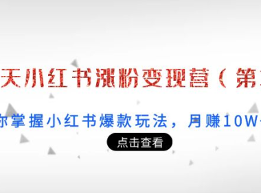 (2285)21天小红书涨粉变现营(第3期):带你掌握小红书爆款玩法,月赚10W+秘密