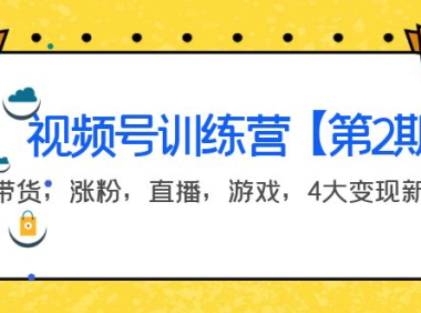（2286）某收费培训：视频号训练营【第2期】带货，涨粉，直播，游戏，4大变现新方向