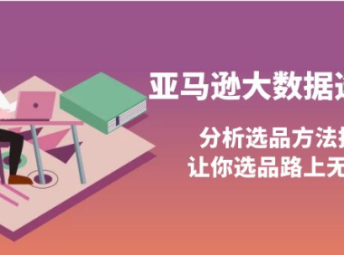 (2292)亚马逊大数据选品课:分析选品方法技巧,让你选品路上无烦恼