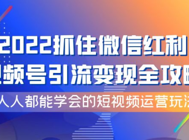 （2309）2022抓住微信红利，视频号引流变现全攻略，人人都能学会的短视频运营玩法