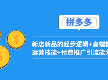 (2313)2022拼多多:新店新品的起步逻辑+高端数据化运营技能+付费推广引流能力提升