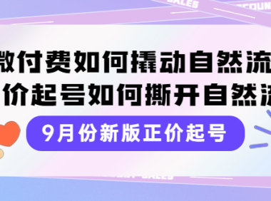 （2319）9月份新版正价起号，微付费如何撬动自然流，正价起号如何撕开自然流