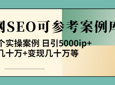 （2323）《全网SEO可参考案例库》几十个实操案例 日引5000ip+涨粉百W+变现几十W等!