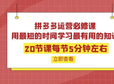 (2328)拼多多运营必修课:20节课每节5分钟左右,用最短的时间学习最有用的知识