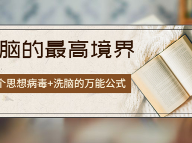 (2334)《洗脑的最高境界》人手一本的商业圣经,108个思想病毒+洗脑的万能公式