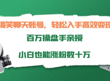 (2352)搞笑聊天账号,轻松入手高效变现,百万操盘手亲授,小白也能涨粉数十万