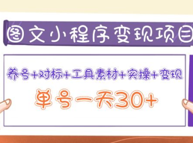 （2355）图文案小程序变现项目：养号+对标+工具素材+实操+变现，单号一天30+