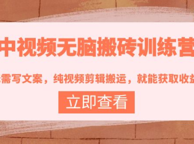 (2358)中视频无脑搬砖训练营:无需写文案,纯视频剪辑搬运,就能获取收益!