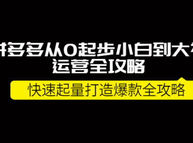 (2364)拼多多从0起步小白到大神运营全攻略,快速起量打造10W+爆款全攻略!