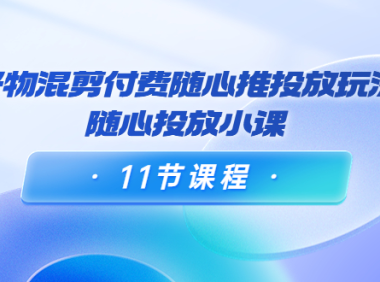 （2365）万三·好物混剪付费随心推投放玩法，随心投放小课（11节课程）