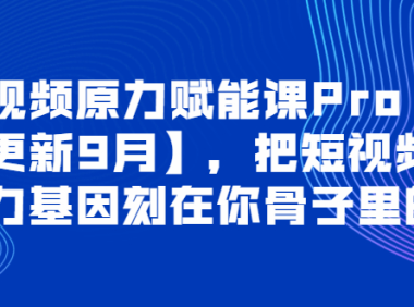 （2368）短视频原力赋能课Pro【更新9月】，把短视频能力基因刻在你骨子里的课