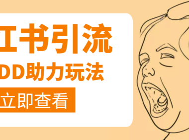 (2370)利用小红书卖拼多多助力,日赚100+,顺便还能引个流【视频课程】