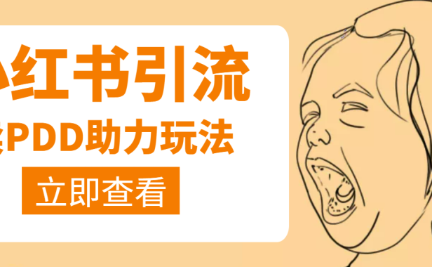 （2370）利用小红书卖拼多多助力，日赚100+，顺便还能引个流【视频课程】