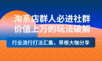 (2396)淘系店群人必进社群,价值上万的玩法模式,行业流行打法汇集,草根大咖分享