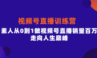 （2400）行动派·视频号直播训练营，素人从0到1做视频号直播销量百万，走向人生巅峰