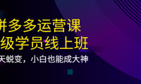 (2402)拼多多运营课:超级学员线上班,21天蜕变,小白也能成大神