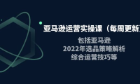 (2451)亚马逊运营实操课(每周更新)包括亚马逊2022选品策略解析,综合运营技巧等