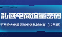 (2478)私域电商流量密码:千万级大佬教您如何做私域电商(12节课)