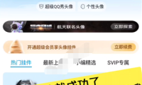 （2489）设置QQ动态头像为自选视频教程