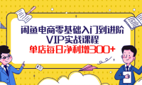 (2508)闲鱼电商零基础入门到进阶VIP实战课程,单店每日净利增300+(37节课)