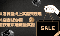 (2528)实体店转型线上实操变现课:实体店老板必看,快速获取本地流量实操