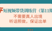 (2541)短视频带货训练营(第11期),不需要真人出境,听话照做,保证出单